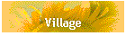 Village