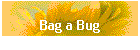 Bag a Bug