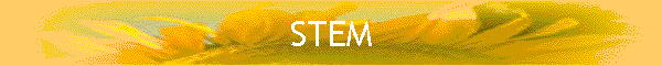 STEM