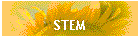 STEM