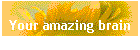 Your amazing brain